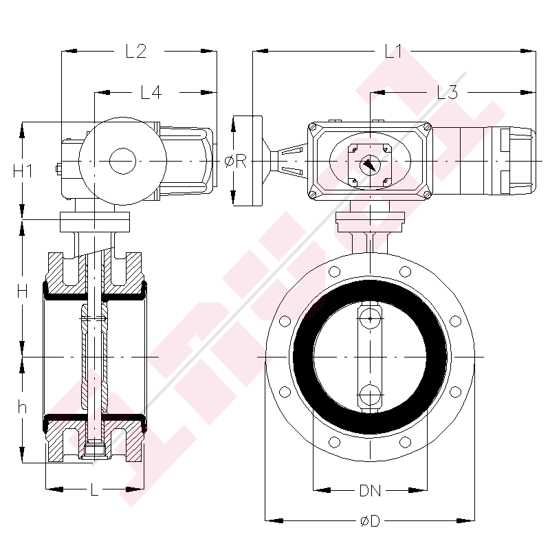 819 + 232-EZ25-Model